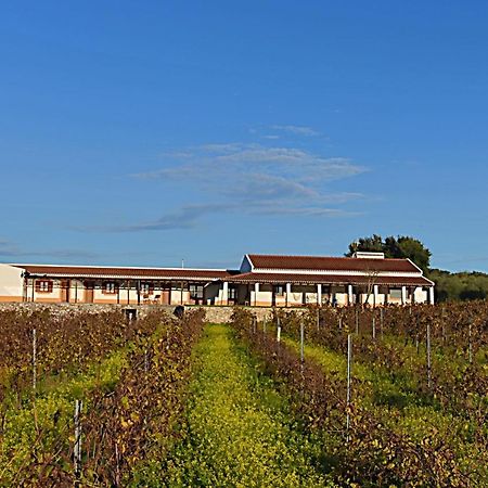 Turismo Rural Pedremoura Affittacamere Vila Ruiva  Esterno foto