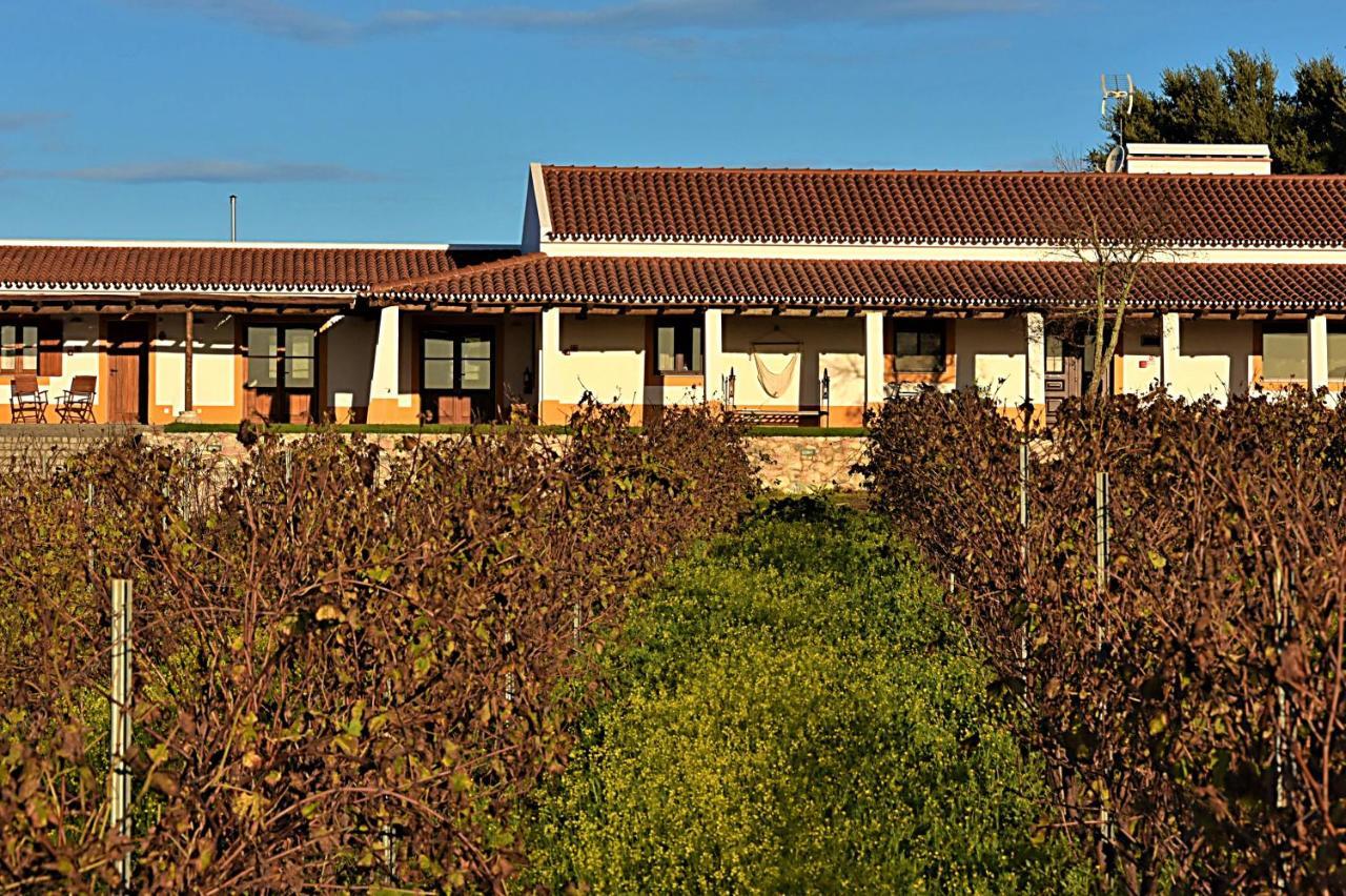 Turismo Rural Pedremoura Affittacamere Vila Ruiva  Esterno foto