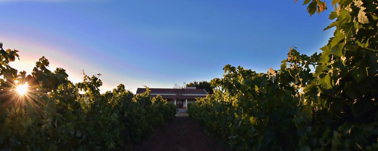 Turismo Rural Pedremoura Affittacamere Vila Ruiva  Esterno foto