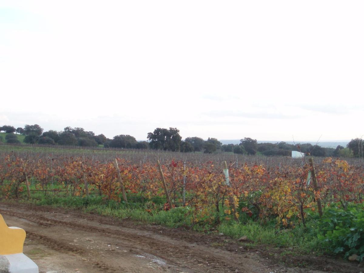 Turismo Rural Pedremoura Affittacamere Vila Ruiva  Esterno foto